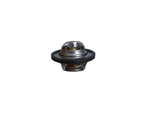 Opel Astra F 1.4-1.6-Termostat-Gates